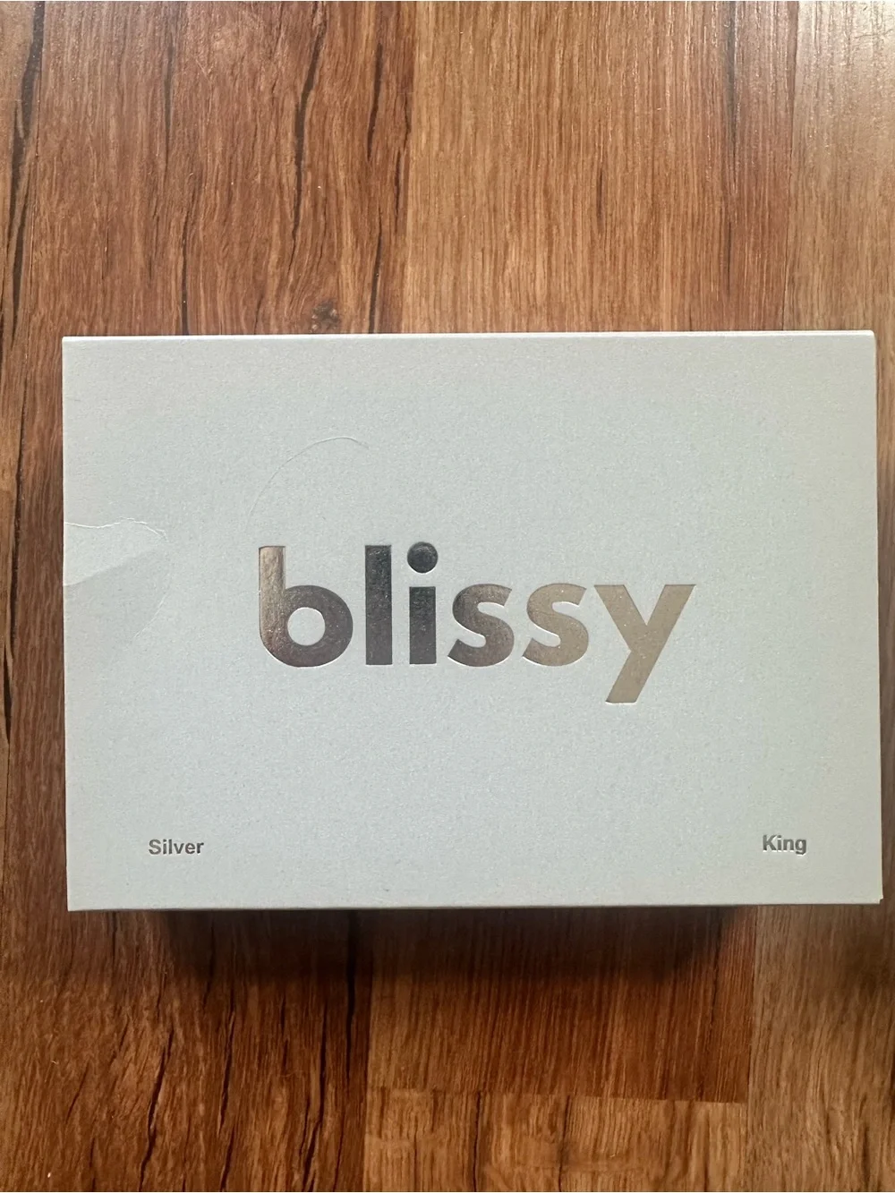 Blissy 100% Mulberry Silk Pillowcase - Silver